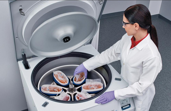 Good price CFL6R Floor Standing Blood Bag Refrigerated Centrifuge 6×1000ml 6000rpm online